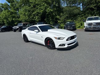 Used 2015 Ford Mustang GT Premium w/ GT Performance Package image 1