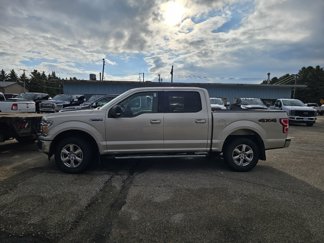 Used 2018 Ford F150 XLT w/ Equipment Group 302A Luxury image 1