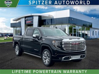 New 2025 GMC Sierra 1500 Denali w/ Denali Reserve Package image 1