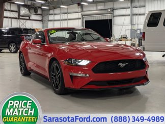 Used 2018 Ford Mustang Premium w/ Equipment Group 201A image 1