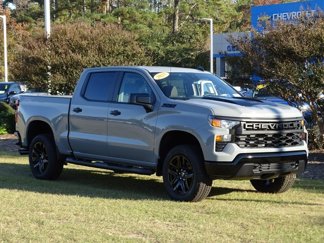 New 2025 Chevrolet Silverado 1500 Custom Trail Boss w/ Turbomax Blackout Package image 1
