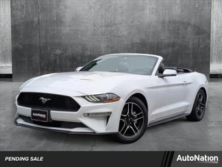 Used 2019 Ford Mustang Premium image 1