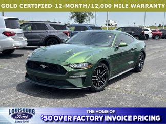 Certified 2023 Ford Mustang Coupe w/ Equipment Group 101A image 1