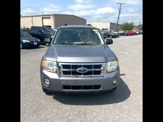 Used 2008 Ford Escape XLT image 1