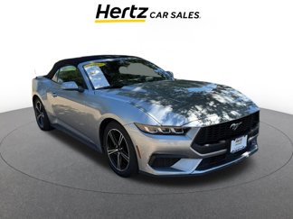 Used 2024 Ford Mustang Premium image 1