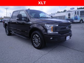 Used 2019 Ford F150 XLT w/ Equipment Group 302A Luxury image 1