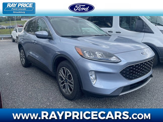 Used 2022 Ford Escape SEL image 1