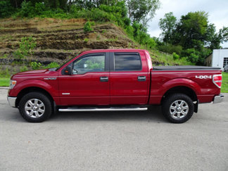 Used 2014 Ford F150 XLT w/ Equipment Group 302A Luxury image 1