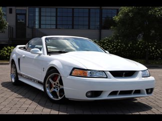 Used 1999 Ford Mustang Cobra image 1