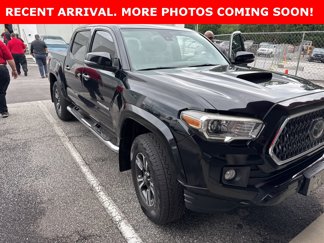 Certified 2019 Toyota Tacoma TRD Sport image 1