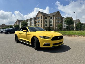 Used 2015 Ford Mustang Convertible w/ Equipment Group 051A image 1