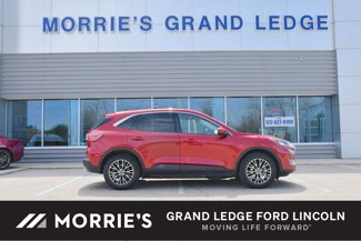 Used 2022 Ford Escape SEL image 1