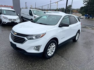 Used 2019 Chevrolet Equinox LS image 1