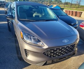 Used 2022 Ford Escape SE w/ SE Sport Appearance Package image 1