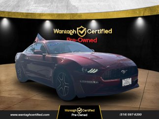 Used 2019 Ford Mustang Coupe image 1