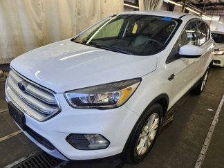 Used 2019 Ford Escape SE image 1