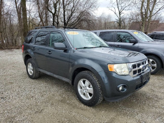 Used 2009 Ford Escape XLT image 1