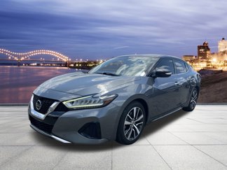 Used 2019 Nissan Maxima 3.5 SV w/ Floor Mat Group image 1