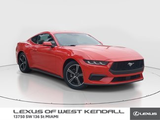 Used 2024 Ford Mustang Premium image 1
