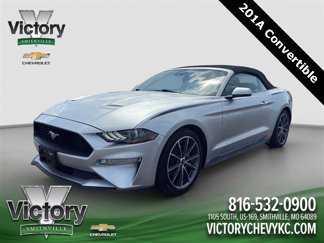 Used 2019 Ford Mustang Premium w/ Equipment Group 201A image 1