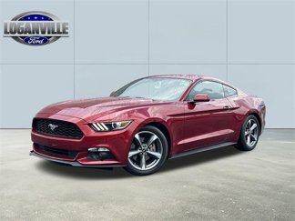 Used 2015 Ford Mustang Coupe w/ Equipment Group 051A image 1