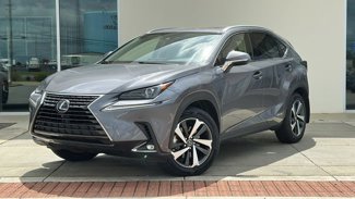 Used 2020 Lexus NX 300h AWD w/ Premium Package image 1