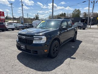 Used 2022 Ford Maverick XLT w/ Equipment Group 300A Standard image 1