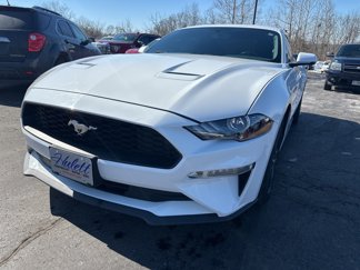 Used 2019 Ford Mustang Premium image 1