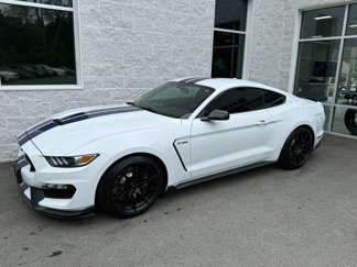 Used 2016 Ford Mustang Shelby GT350 w/ Technology Package image 1