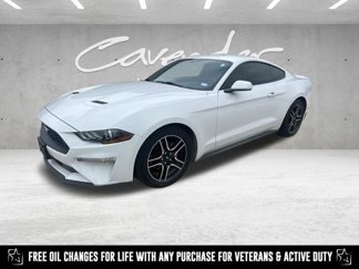 Used 2019 Ford Mustang Coupe w/ Equipment Group 101A image 1