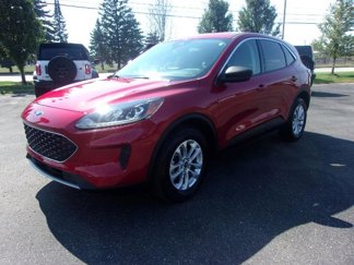 Used 2022 Ford Escape SE w/ Convenience Package image 1