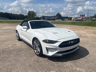 Used 2019 Ford Mustang Premium w/ Pony Package image 1