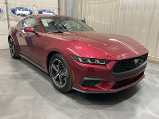 New 2025 Ford Mustang Coupe image 1