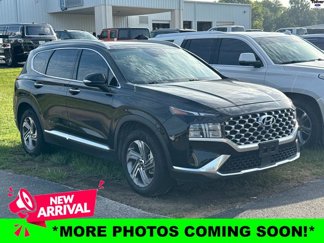Used 2021 Hyundai Santa Fe SEL w/ Convenience + Premium Package image 1