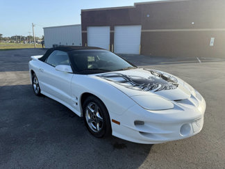 Used 2001 Pontiac Firebird Trans Am image 1