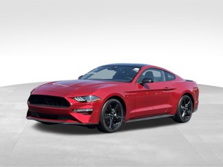 Used 2023 Ford Mustang Coupe w/ Equipment Group 101A image 1