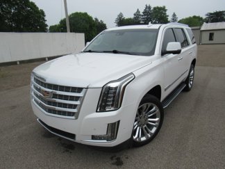 Used 2019 Cadillac Escalade Luxury w/ LPO, Radiant Package image 1