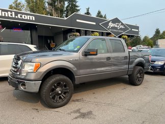 Used 2010 Ford F150 XLT image 1