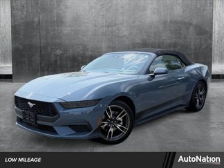 Used 2025 Ford Mustang Premium image 1