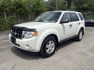 Used 2011 Ford Escape XLT w/ 201A Rapid Spec Order Code image 1