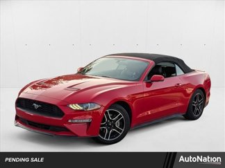 Used 2018 Ford Mustang Premium w/ Equipment Group 201A image 1