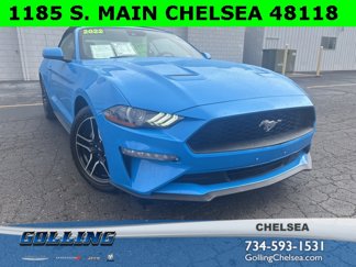 Used 2022 Ford Mustang Premium image 1