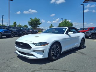 Used 2023 Ford Mustang Premium image 1