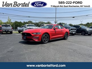 Certified 2020 Ford Mustang Premium w/ Equipment Group 201A image 1