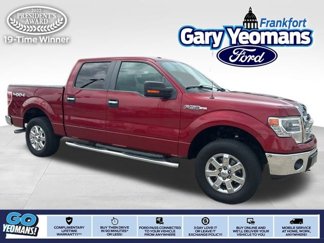 Used 2014 Ford F150 XLT w/ Equipment Group 302A Luxury image 1