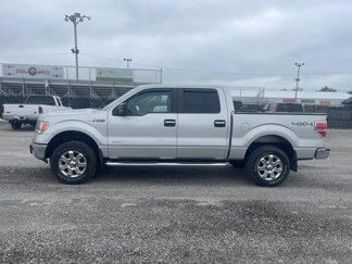 Used 2014 Ford F150 XLT w/ Equipment Group 302A Luxury image 1