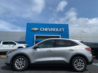 Used 2020 Ford Escape SE image 1