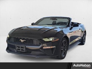 Used 2023 Ford Mustang Premium image 1