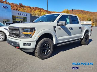 New 2024 Ford F150 STX w/ STX Black Appearance Package image 1