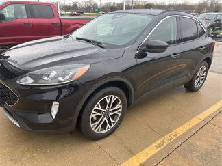 Used 2020 Ford Escape SEL image 1